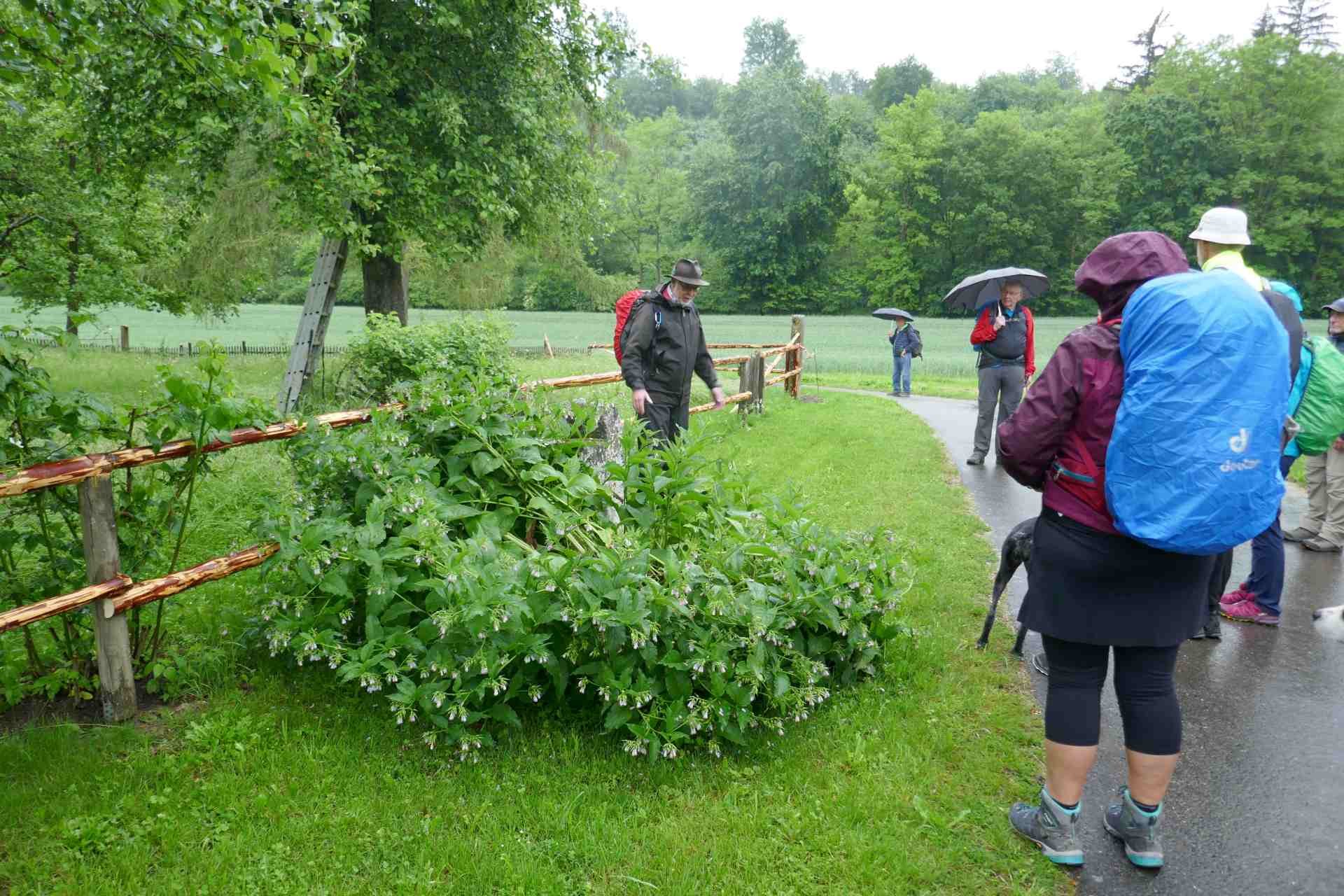 05 Albschäferweg - 2 Tages Wanderung im Juni